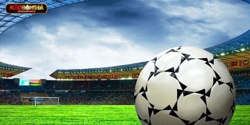 Hệ thống trang cam kết hoạt động uy tín Hệ thống trang cam kết hoạt động uy tín