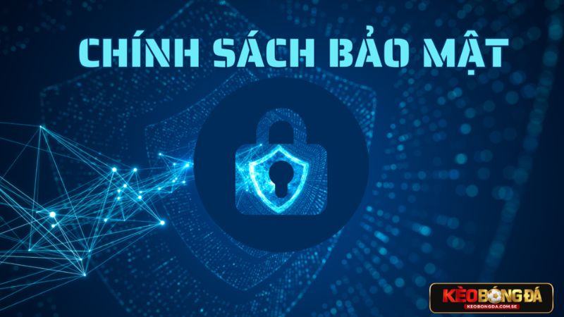 Người chơi được những lợi ích gì khi nhà cái có quy định bảo mật Người chơi được những lợi ích gì khi nhà cái có quy định bảo mật