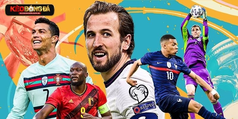 Hướng dẫn thao tác trên hệ thống để xem bảng xếp hạng FIFA