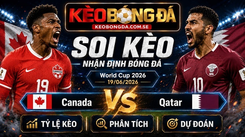 Đội hình dự kiến trước trận Canada và Qatar Đội hình dự kiến trước trận Canada và Qatar