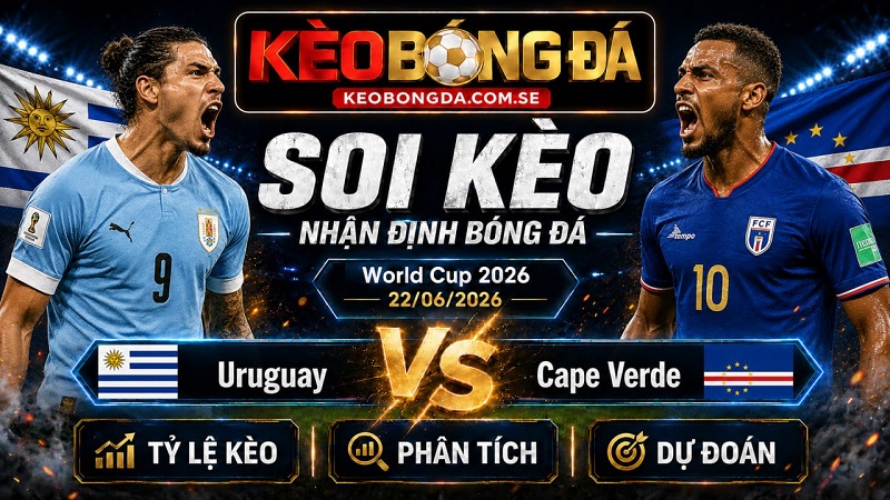 Đội hình dự kiến trước trận Uruguay và Cape Verde Đội hình dự kiến trước trận Uruguay và Cape Verde